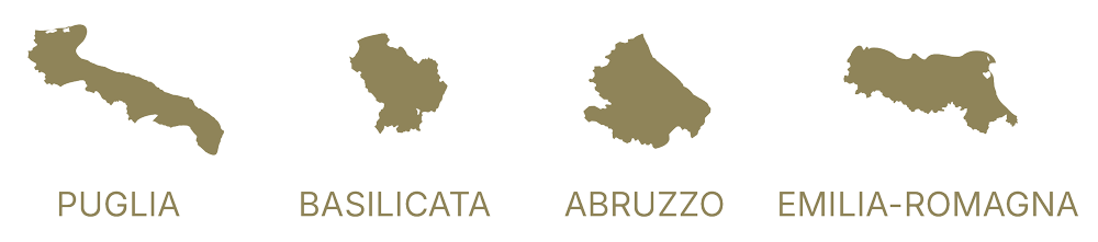le nostre attività