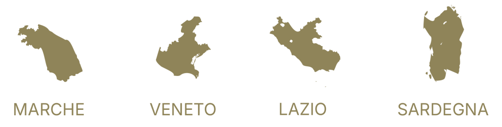 le nostre attività