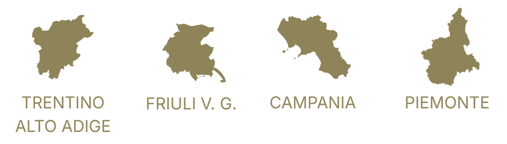le nostre attività